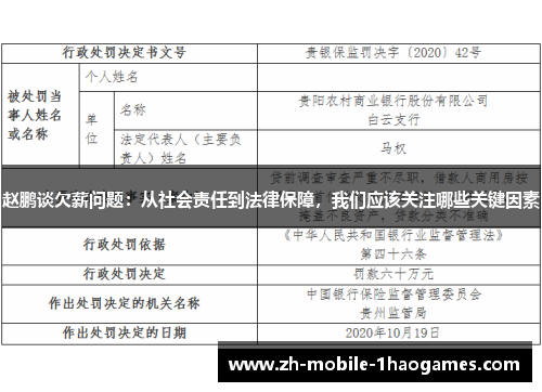 赵鹏谈欠薪问题：从社会责任到法律保障，我们应该关注哪些关键因素
