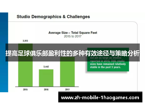 提高足球俱乐部盈利性的多种有效途径与策略分析 提高足球俱乐部盈利性的多种有效途径与策略分析