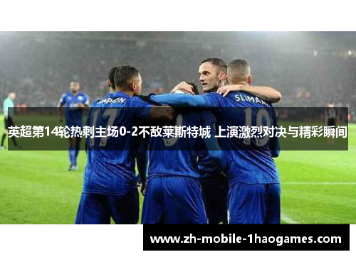 英超第14轮热刺主场0-2不敌莱斯特城 上演激烈对决与精彩瞬间