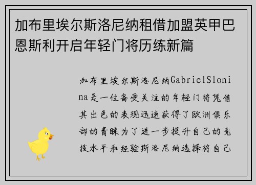 加布里埃尔斯洛尼纳租借加盟英甲巴恩斯利开启年轻门将历练新篇